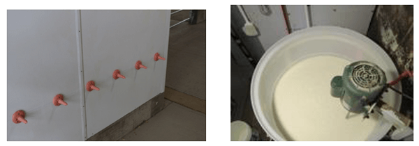 Alojamiento de Terneras en Grupo. Destete con leche acidificada - Image 17