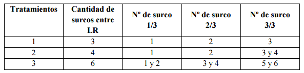 Distanciamiento entre líneas de riego por goteo subterráneo: efectos sobre el crecimiento del cultivo de trigo en la región centro de Córdoba - Image 5