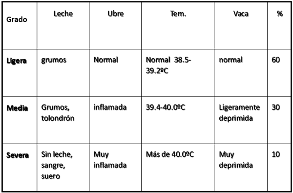 Manejo de vacas con mastitis clinica y otras enfermedades en área de Hospital - Image 1