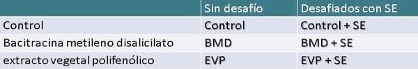Respuesta inmune en pollos parrilleros desafiados con Salmonella Enteriditis - Image 1
