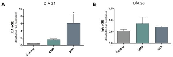 Respuesta inmune en pollos parrilleros desafiados con Salmonella Enteriditis - Image 8