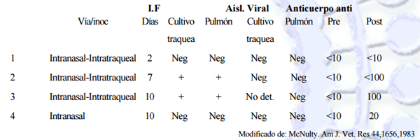 Biología del virus respiratorio sincicial bovino. Clasificación, distribución, patogenia, vacunas. Protección y Diagnostico. - Image 3
