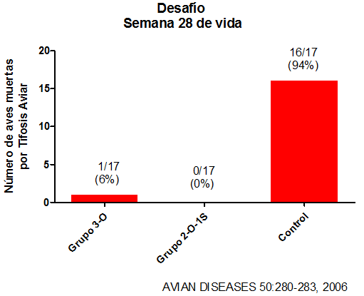 Tifosis en gallinas ponedoras: Descripción de la enfermedad y protección conferida por una vacuna viva de Salmonella Enteritidis - Image 4