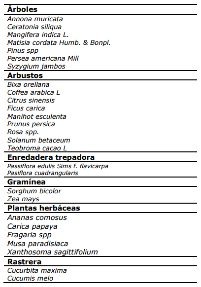 Peach Root Rot - Phymatotrichopsis omnivora - Image 1
