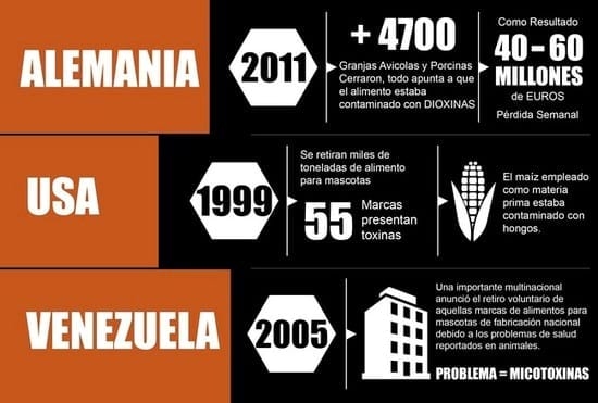 El sistema de calidad como ventaja competitiva - Image 2