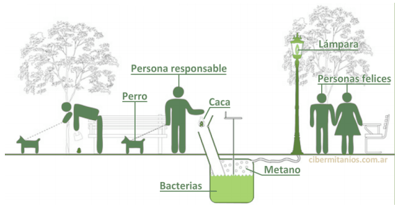 Publicidad y Zoonosis - Image 6