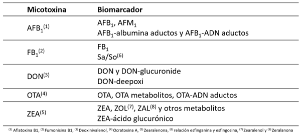 Aplicación de biomarcadores en campo para el control de micotoxinas en producción animal - Image 2