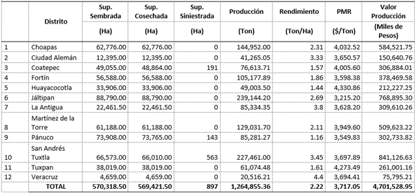 Semilla de maíz variedad mejorada CP-569: Estrategia de posicionamiento y vinculación con el medio rural - Image 1