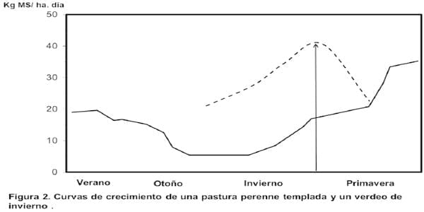 Las pasturas en los nuevos escenarios productivos - Image 4