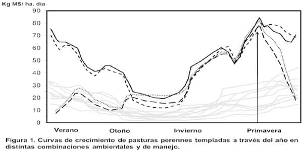 Las pasturas en los nuevos escenarios productivos - Image 1