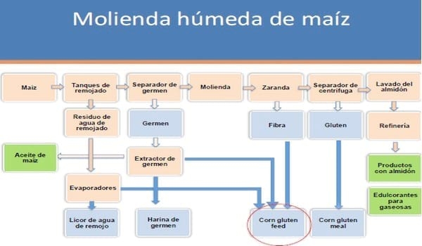 Uso de subproductos del destilado de granos en bovinos para carne - Image 2