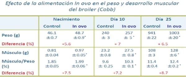  Evolución de las estrategias de alimentación precoz en aves comerciales - Image 6