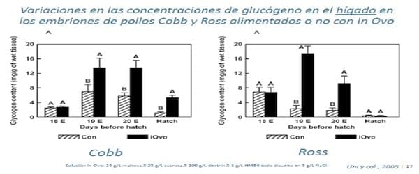  Evolución de las estrategias de alimentación precoz en aves comerciales - Image 5