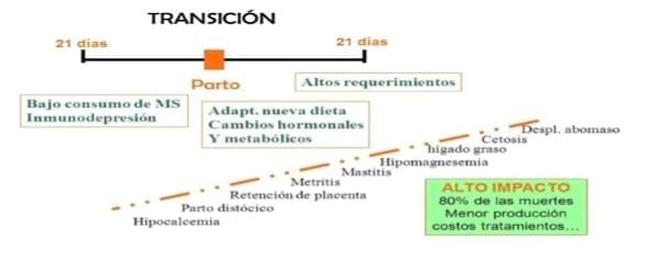 Linea Vaca Saludable - Image 2