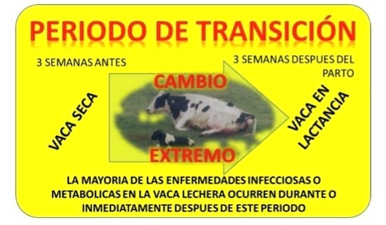 Linea Vaca Saludable - Image 1
