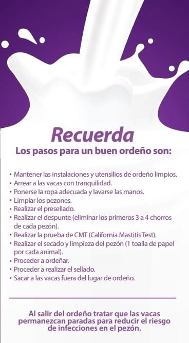 Tambo: Buenas prácticas de ordeño - Image 3