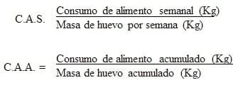 Evaluacion de calcio y fosforo fino y grueso en la dieta de gallinas ponedoras en dos frecuencias de suministro sobre la calidad de la cascara de huevo - Image 4