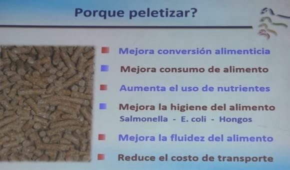 La fabricación de alimentos desde el punto de vista del nutricionista - Image 4