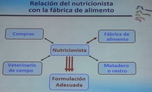 La fabricación de alimentos desde el punto de vista del nutricionista - Image 2