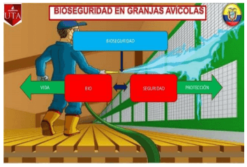 Gripe Aviar: Febrero-Marzo-Abril-2017 Máxima Alerta para América - Image 10