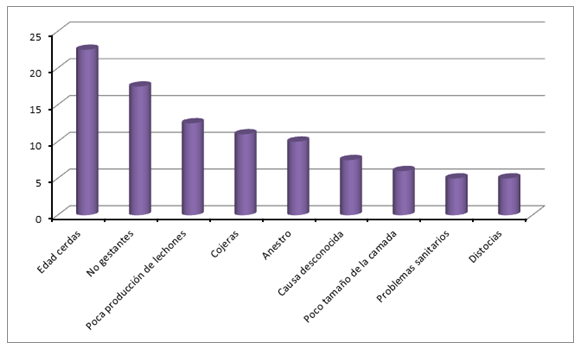 Factores claves de la eficiencia productiva en ganado porcino - Image 11