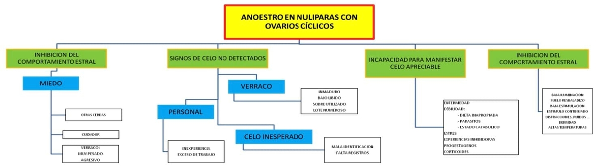 Factores claves de la eficiencia productiva en ganado porcino - Image 5