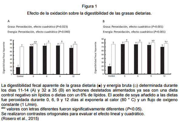 Digestión y metabolismo de las grasas en cerdos. - Image 2