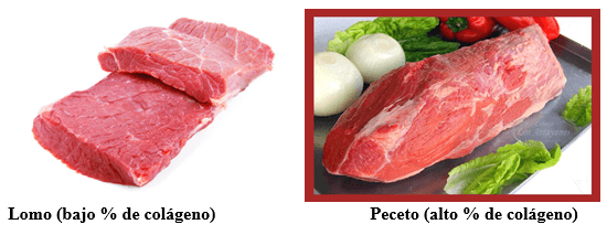 Calidad de la carne vacuna (factores que afectan la terneza) - Image 1