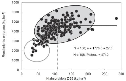 La productividad parcial de los nutrientes. La necesidad de incrementar la eficiencia de uso del Nitrógeno - Image 2