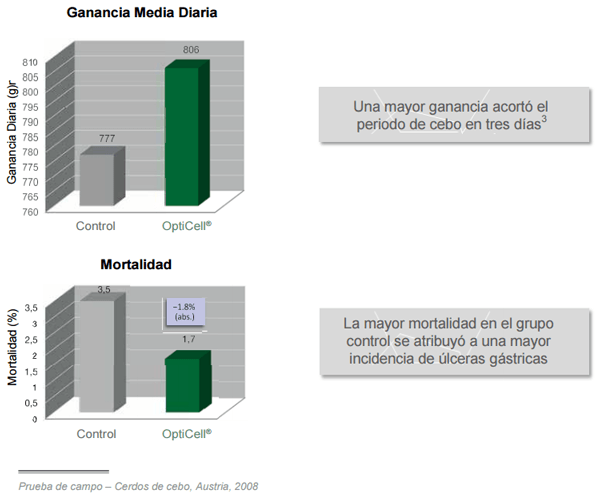 Conceptos de vida - OptiCell®: una herramienta para todas las fases de los cerdos - Image 19