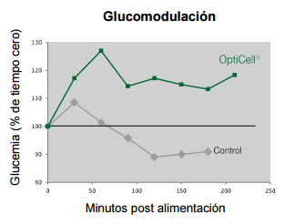 Conceptos de vida - OptiCell®: una herramienta para todas las fases de los cerdos - Image 8