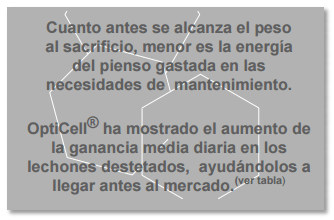 Conceptos de vida - OptiCell®: una herramienta para todas las fases de los cerdos - Image 18