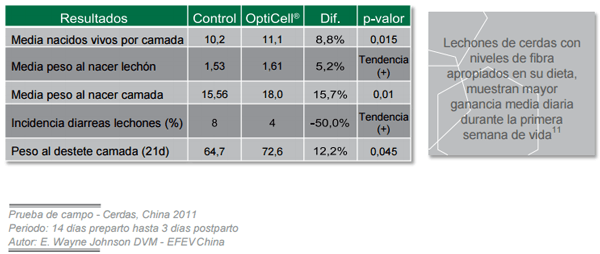 Conceptos de vida - OptiCell®: una herramienta para todas las fases de los cerdos - Image 14