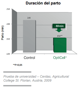Conceptos de vida - OptiCell®: una herramienta para todas las fases de los cerdos - Image 11