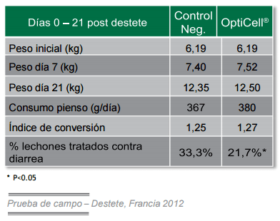 Conceptos de vida - OptiCell®: una herramienta para todas las fases de los cerdos - Image 17