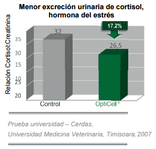 Conceptos de vida - OptiCell®: una herramienta para todas las fases de los cerdos - Image 10