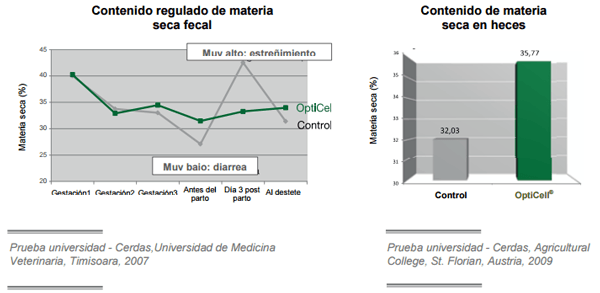Conceptos de vida - OptiCell®: una herramienta para todas las fases de los cerdos - Image 6