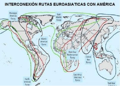 Gripe Aviar - América: Máxima Bioseguridad para evitar brotes masivos - Image 12