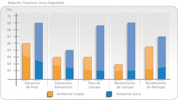 Aminoácidos en la nutrición de pollos de engorde - Image 3