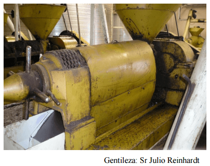 Actualización de ingredientes para raciones de ponedoras - Image 19