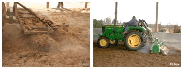 Estabulación de vacas en Compost. (“Bedded-Pack”) - Image 10