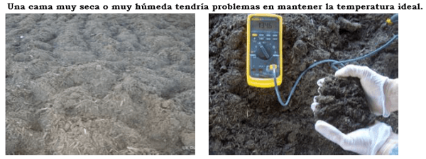 Estabulación de vacas en Compost. (“Bedded-Pack”) - Image 12
