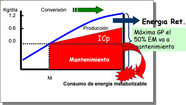 Consumo residual - Image 8