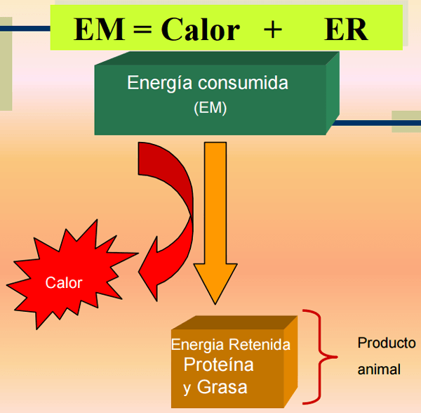Consumo residual - Image 16