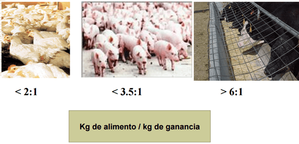 Consumo residual - Image 7