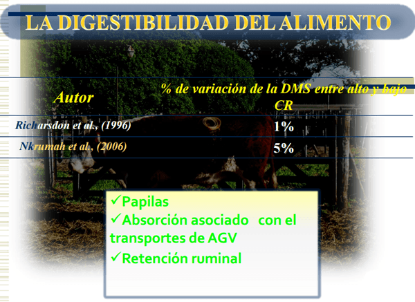 Consumo residual - Image 20