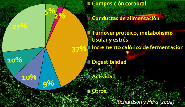 Consumo residual - Image 14