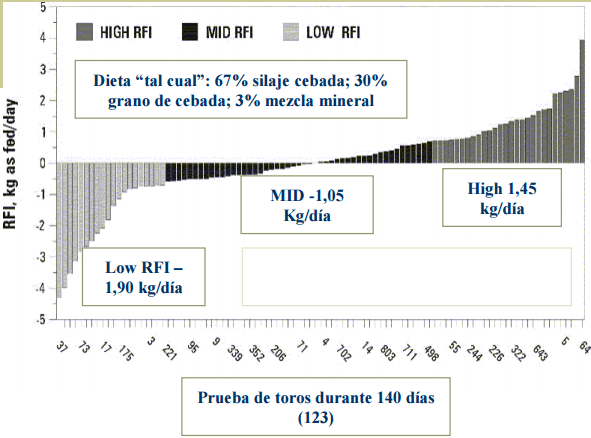 Consumo residual - Image 26