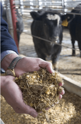 Consumo residual - Image 9