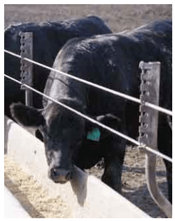 Consumo residual - Image 21
